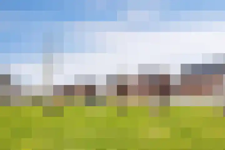 Schutsboom 20 Escharen thumbnail 28