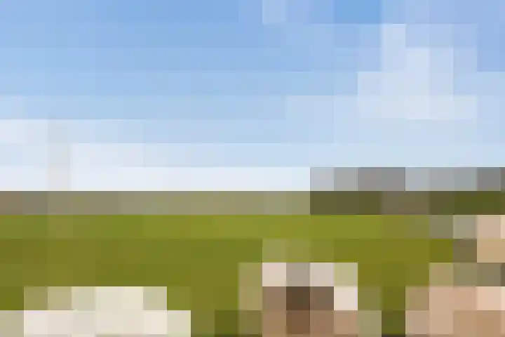 Schutsboom 20 Escharen thumbnail 29