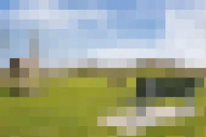 Schutsboom 20 Escharen thumbnail 30