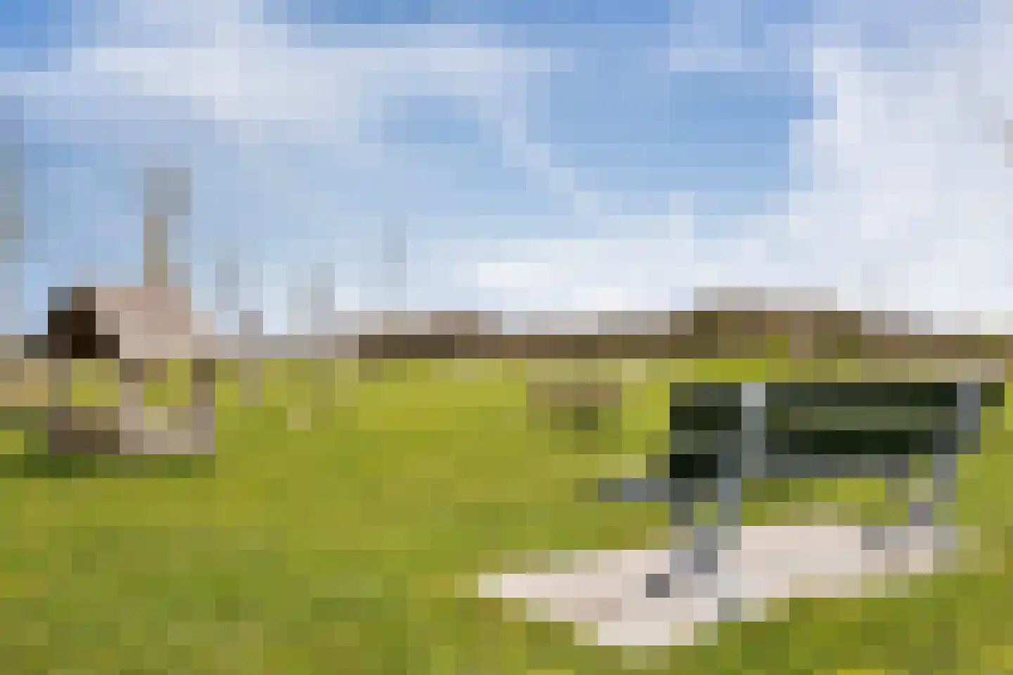 Schutsboom 20 Escharen thumbnail 30