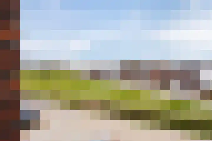 Schutsboom 20 Escharen thumbnail 31