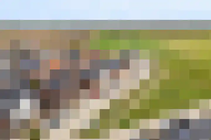 Schutsboom 20 Escharen thumbnail 32
