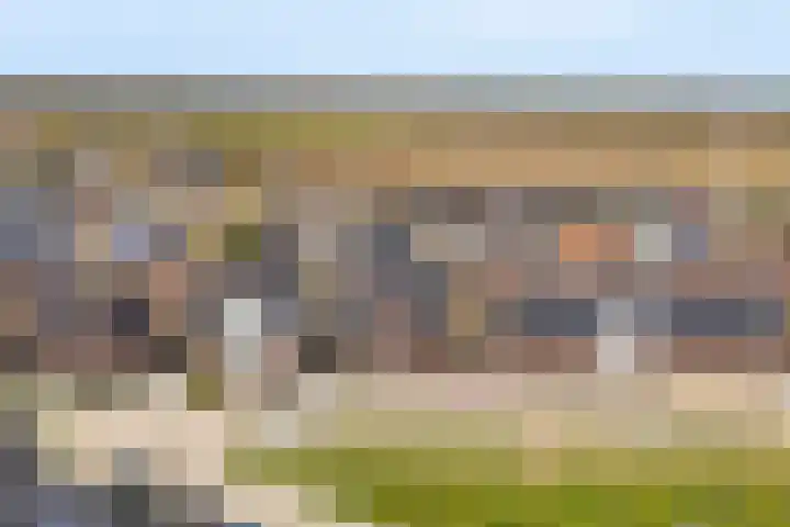 Schutsboom 20 Escharen thumbnail 33