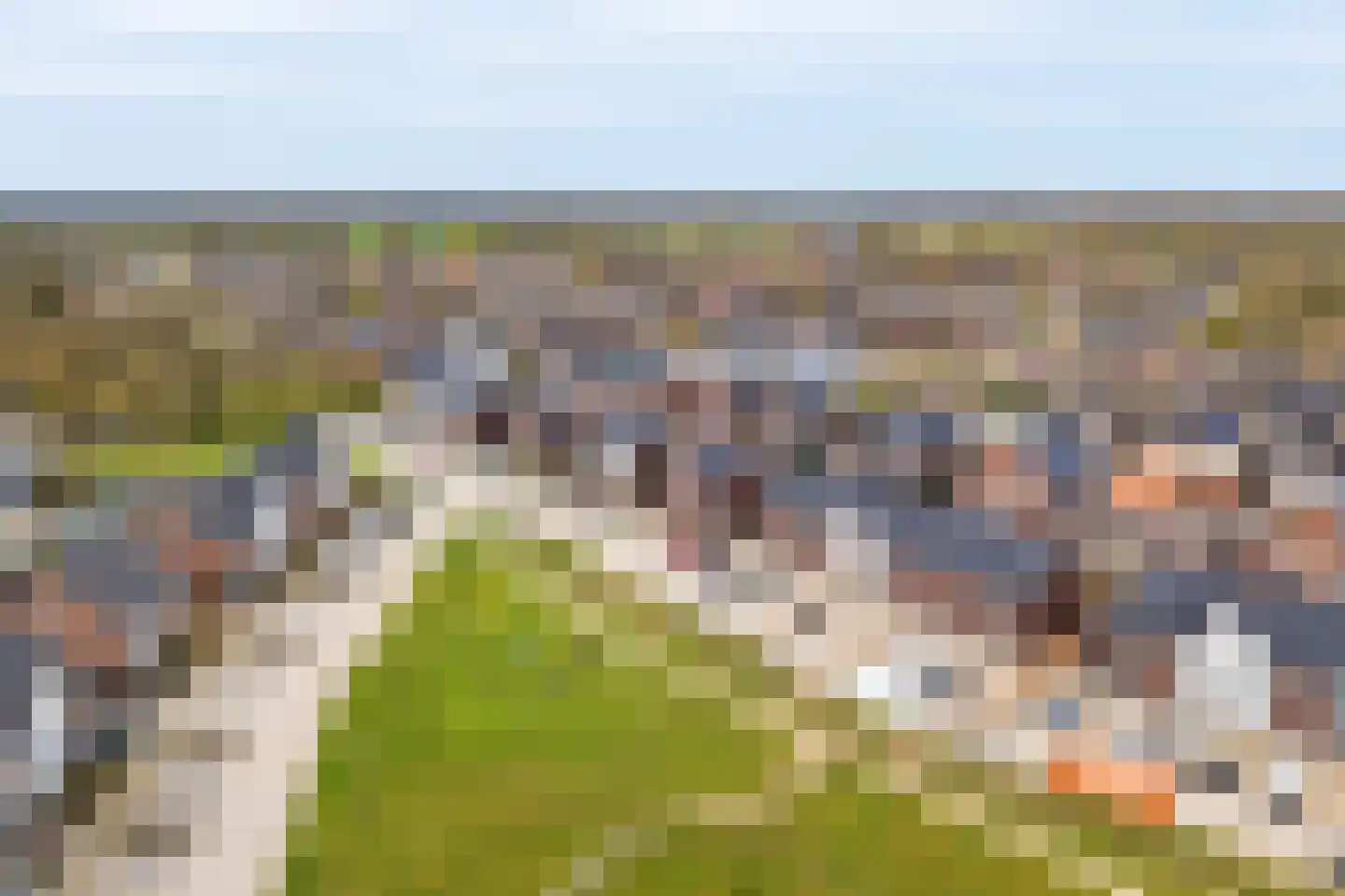 Schutsboom 20 Escharen thumbnail 34