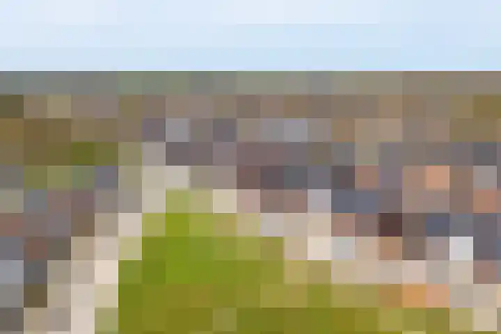 Schutsboom 20 Escharen thumbnail 34