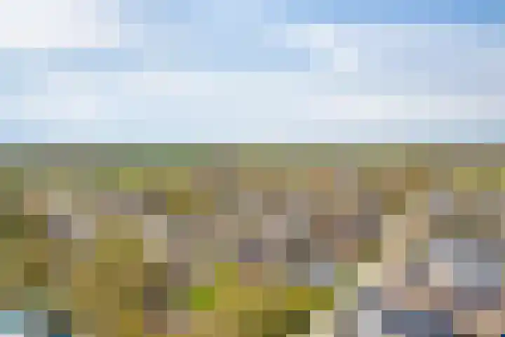 Schutsboom 20 Escharen thumbnail 35