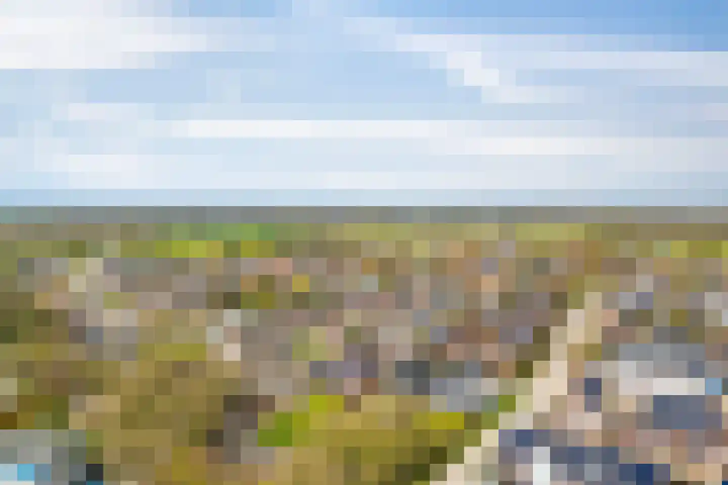 Schutsboom 20 Escharen thumbnail 35