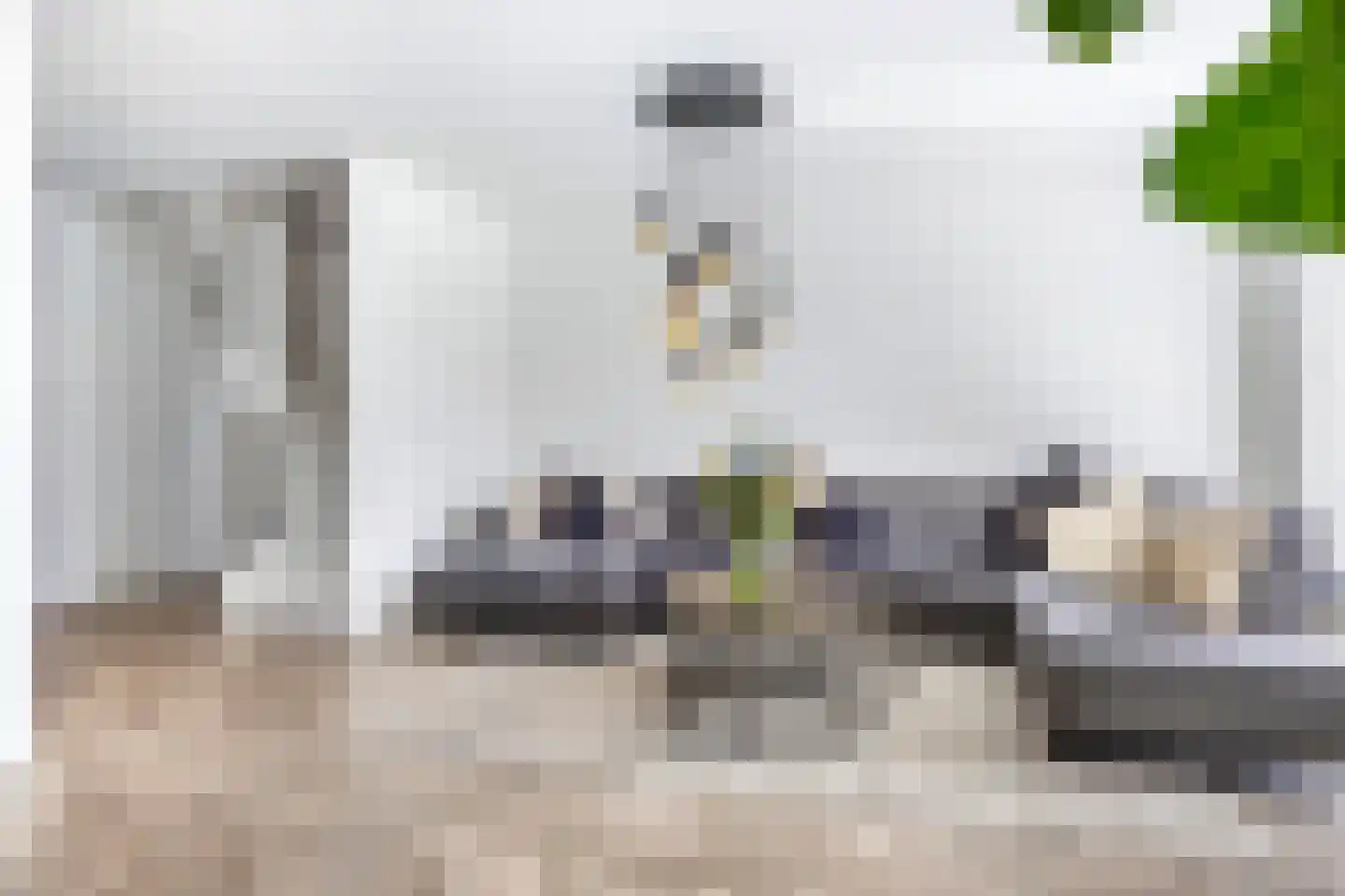 Schutsboom 20 Escharen thumbnail 4