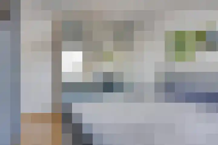Schutsboom 21 Bergeijk thumbnail 15
