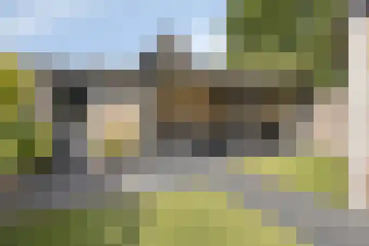 Schutsboom 21 Bergeijk thumbnail 23
