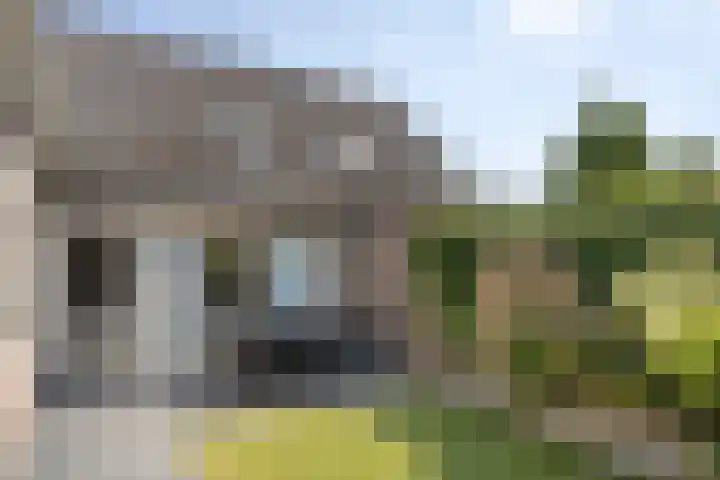 Schutsboom 21 Bergeijk thumbnail 27