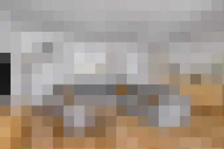 Schutsboom 21 Bergeijk thumbnail 4