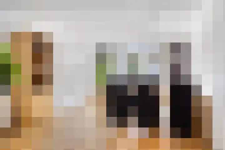 Schutsboom 21 Bergeijk thumbnail 7