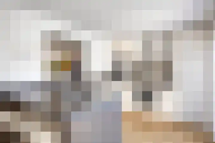 Schutsboom 21 Bergeijk thumbnail 9