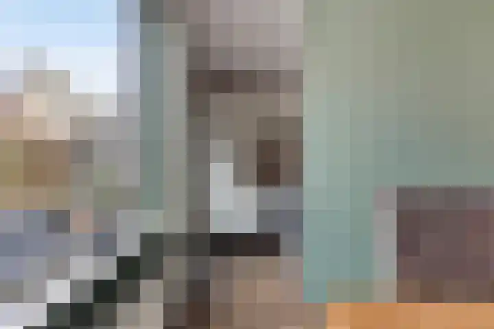 Schutsboom 26 Geldrop thumbnail 12