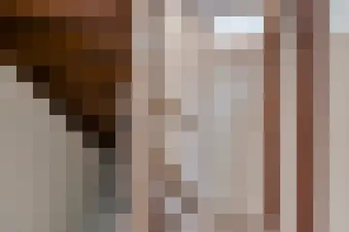 Schutsboom 26 Geldrop thumbnail 15