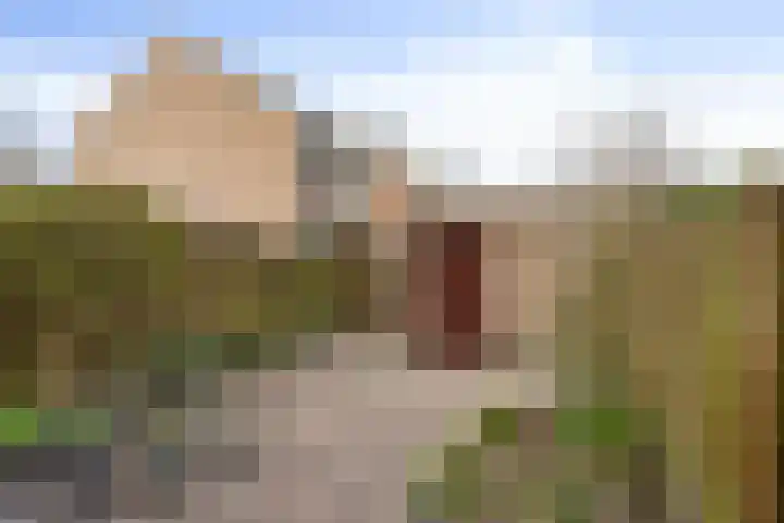 Schutsboom 26 Geldrop thumbnail 25