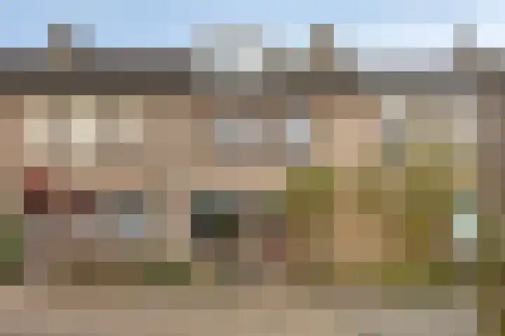 Schutsboom 26 Geldrop thumbnail 27