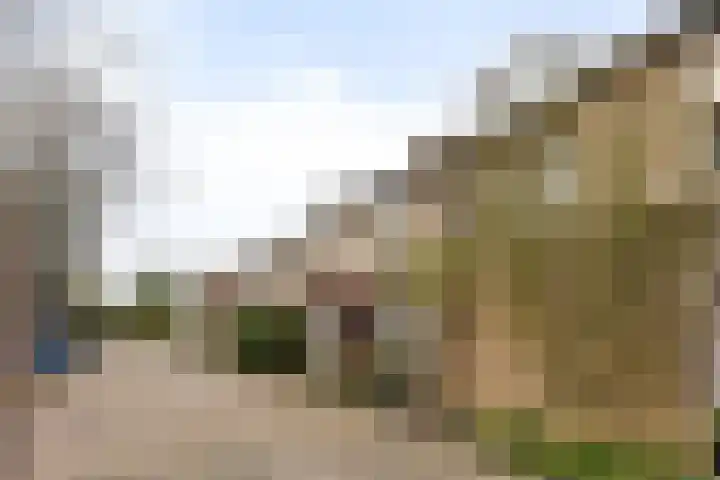 Schutsboom 26 Geldrop thumbnail 28