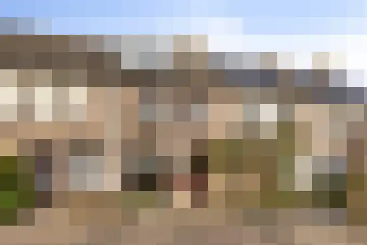 Schutsboom 26 Geldrop thumbnail 33
