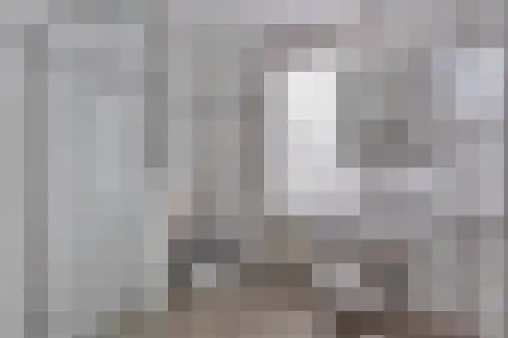 Schutsboom 26 Geldrop thumbnail 4