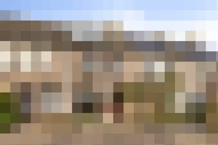 Schutsboom 26 Geldrop thumbnail 7
