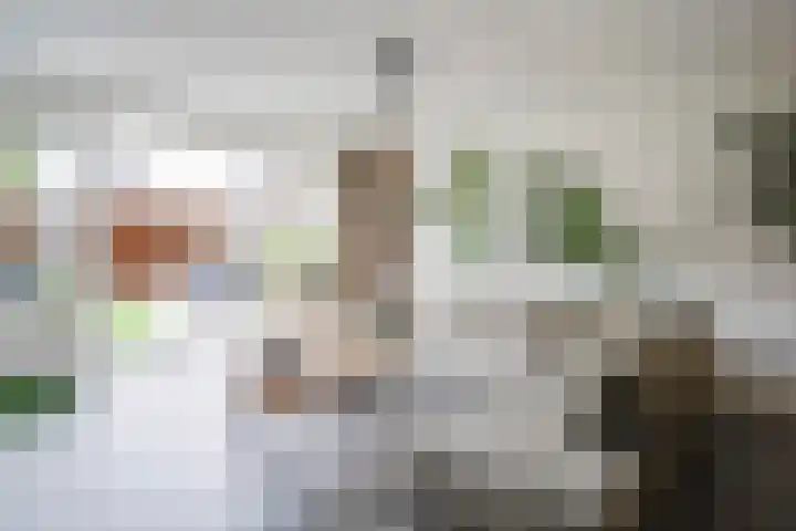 Schutsboom 27 Escharen thumbnail 10