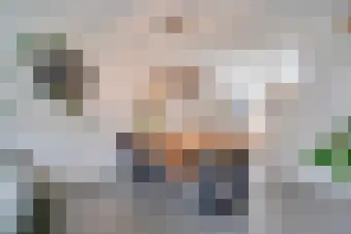 Schutsboom 27 Escharen thumbnail 12