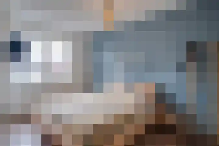 Schutsboom 27 Escharen thumbnail 16