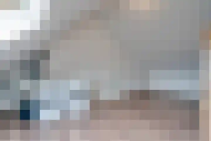 Schutsboom 27 Escharen thumbnail 22