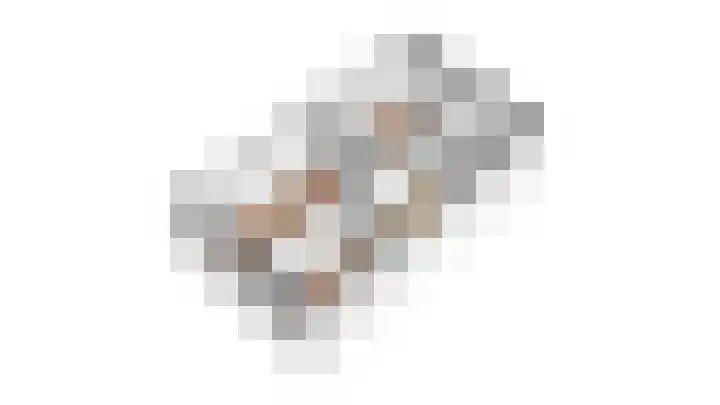 Schutsboom 27 Escharen thumbnail 31