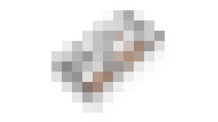 Schutsboom 27 Escharen thumbnail 32