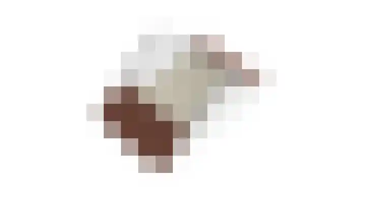 Schutsboom 27 Escharen thumbnail 34