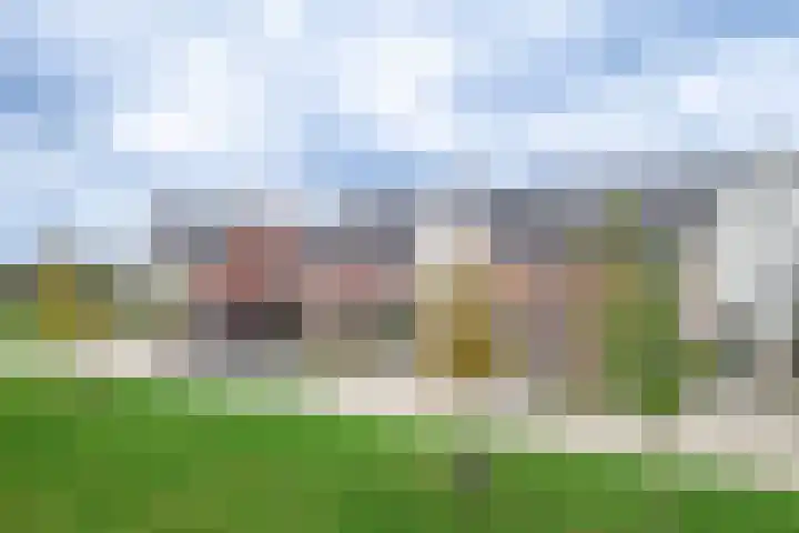 Schutsboom 27 Escharen thumbnail 4