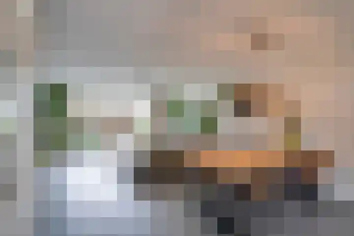 Schutsboom 27 Escharen thumbnail 8