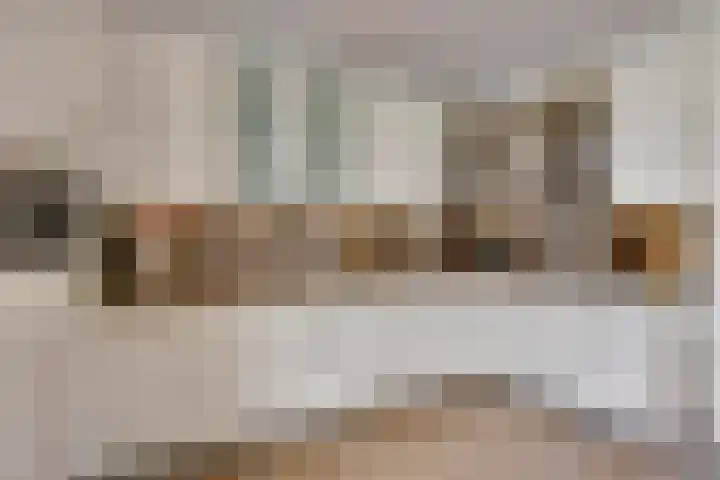 Schutsboom 30 Deurne thumbnail 10