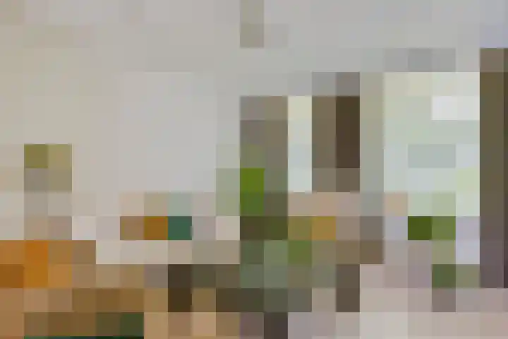Schutsboom 30 Deurne thumbnail 13