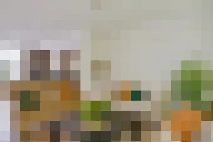 Schutsboom 30 Deurne thumbnail 14