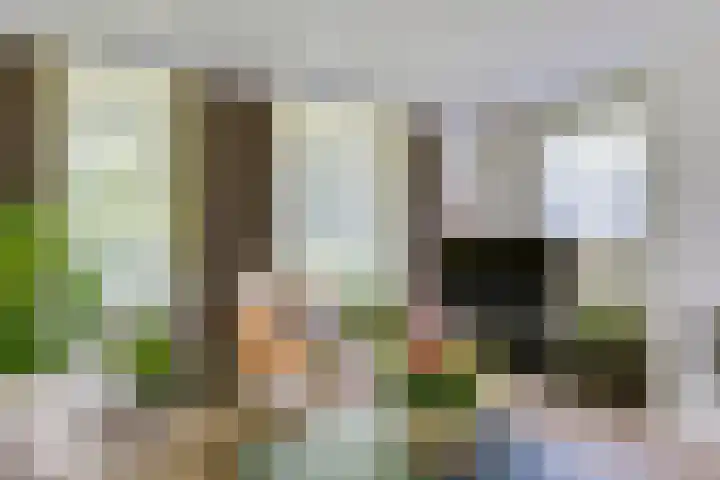 Schutsboom 30 Deurne thumbnail 15