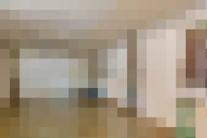 Schutsboom 30 Deurne thumbnail 17