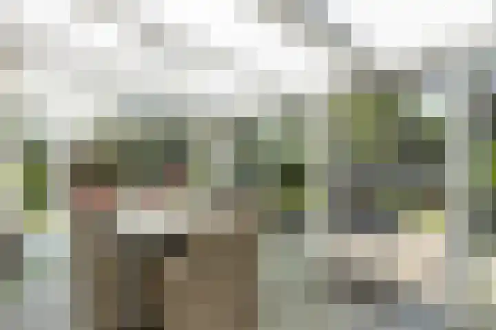 Schutsboom 30 Deurne thumbnail 19