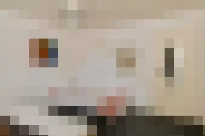 Schutsboom 30 Deurne thumbnail 23