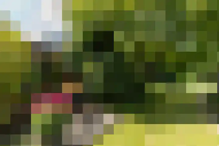 Schutsboom 30 Deurne thumbnail 30