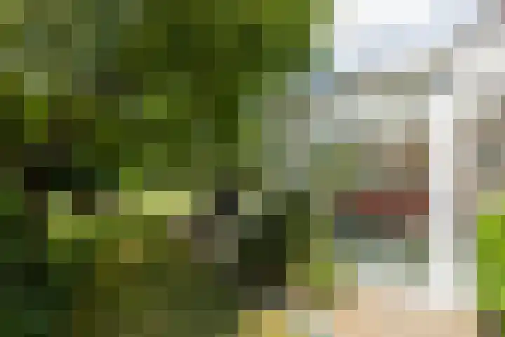 Schutsboom 30 Deurne thumbnail 31
