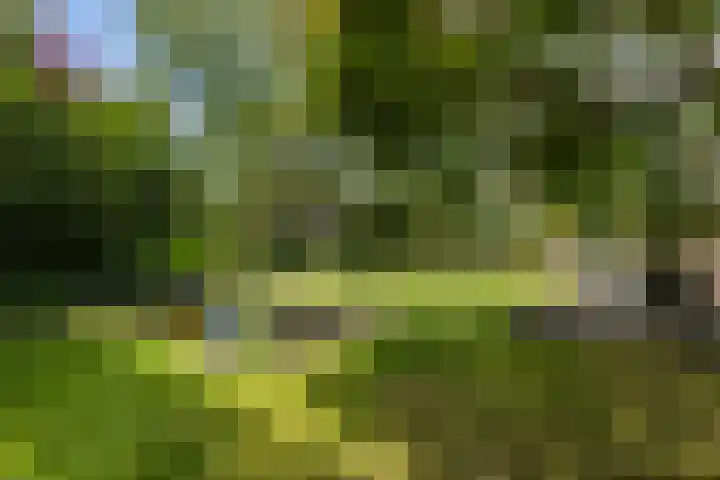 Schutsboom 30 Deurne thumbnail 33