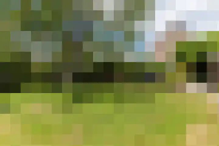 Schutsboom 30 Deurne thumbnail 35