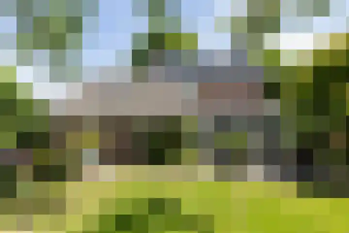 Schutsboom 30 Deurne thumbnail 36