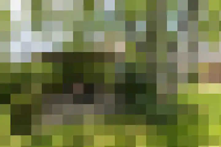 Schutsboom 30 Deurne thumbnail 37