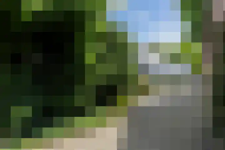 Schutsboom 30 Deurne thumbnail 39