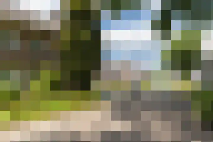 Schutsboom 30 Deurne thumbnail 4